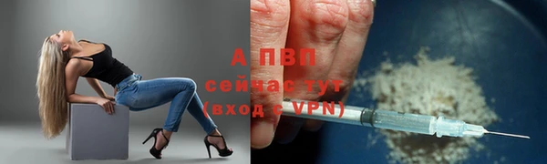 марки nbome Каменногорск