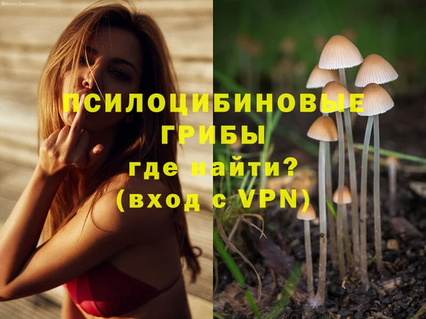 а пвп мука Каменка