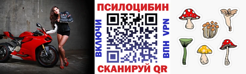 Галлюциногенные грибы MAGIC MUSHROOMS Купить где Ржев